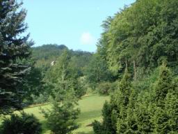 Resize of DSC00402.JPG